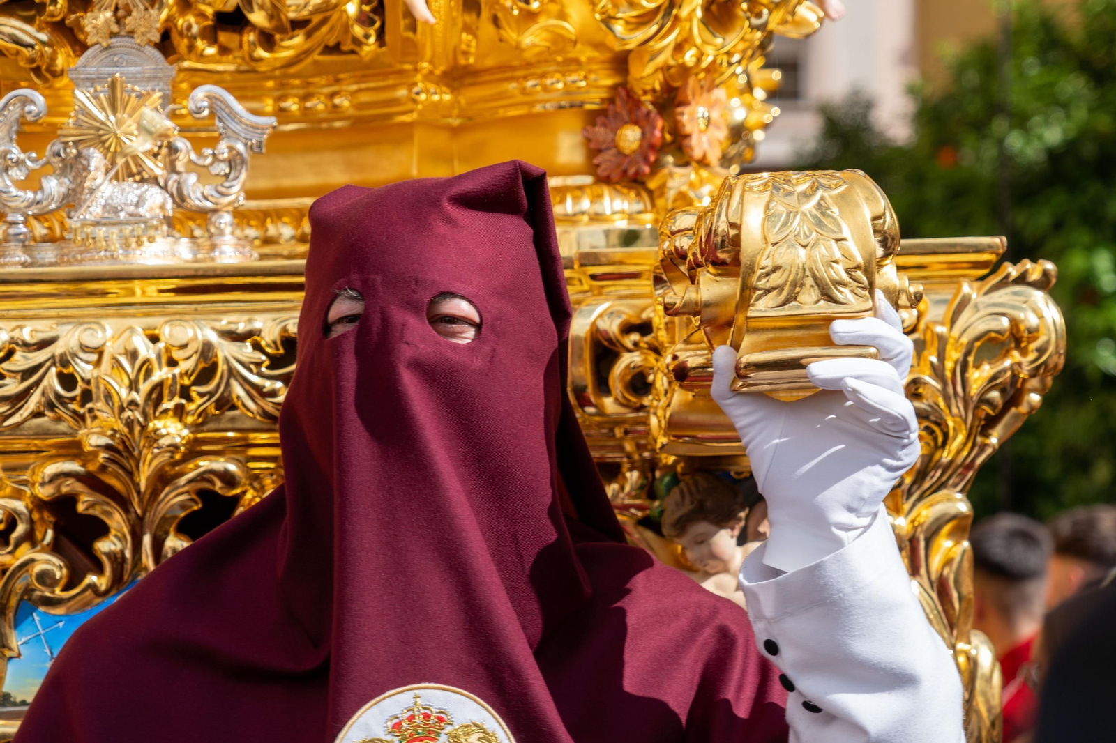 Domingo de Ramos: Imágenes de la procesión de La Sagrada Cena y Maria Santísima del Rosario