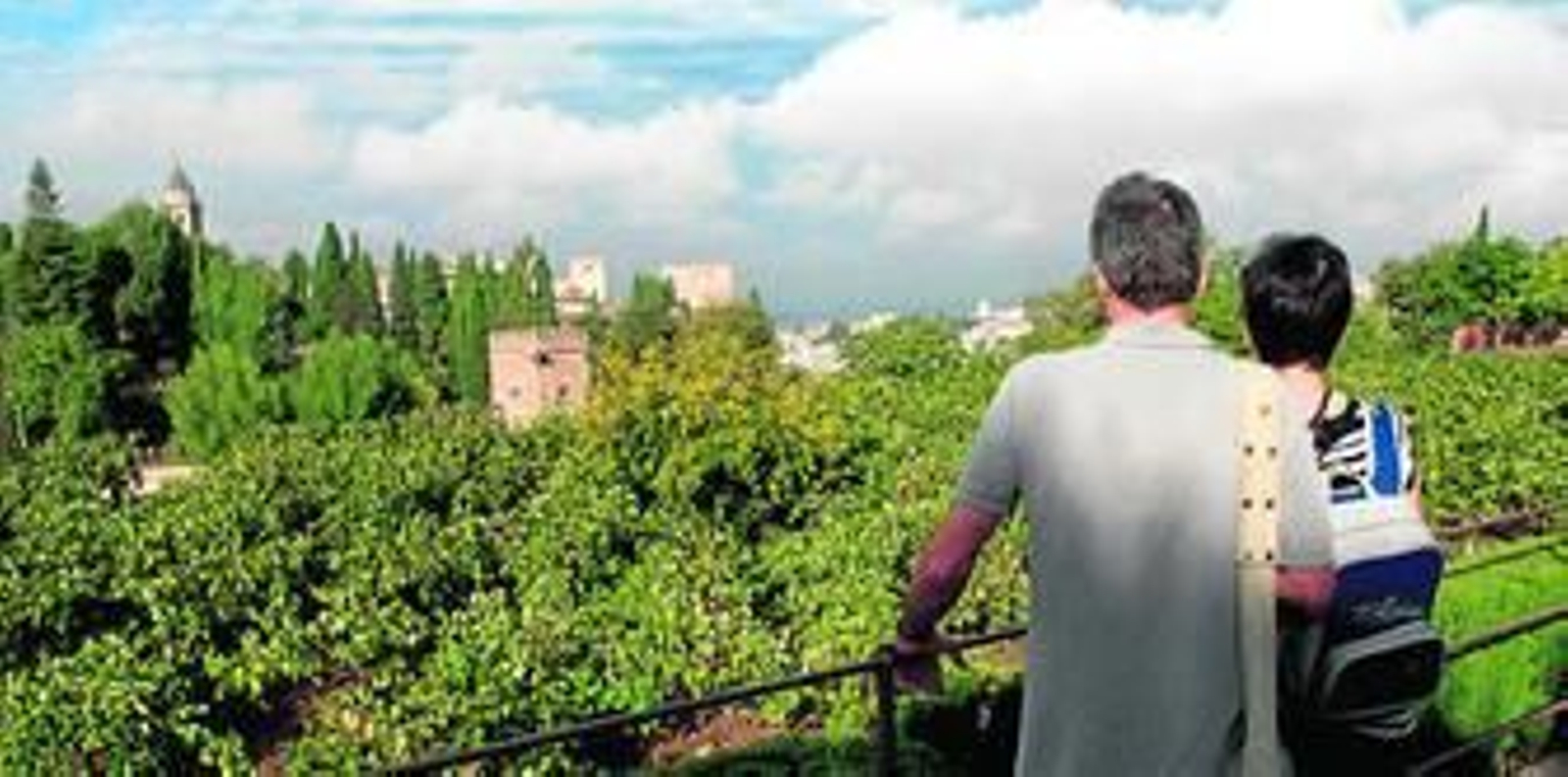 Nada como pararse durante un rato a contemplar la majestuosidad de los viñedos.