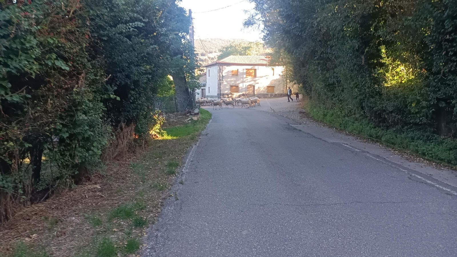 Aproximación a Ranedo de Curueño. Aproximación a Ranedo de Curueño.