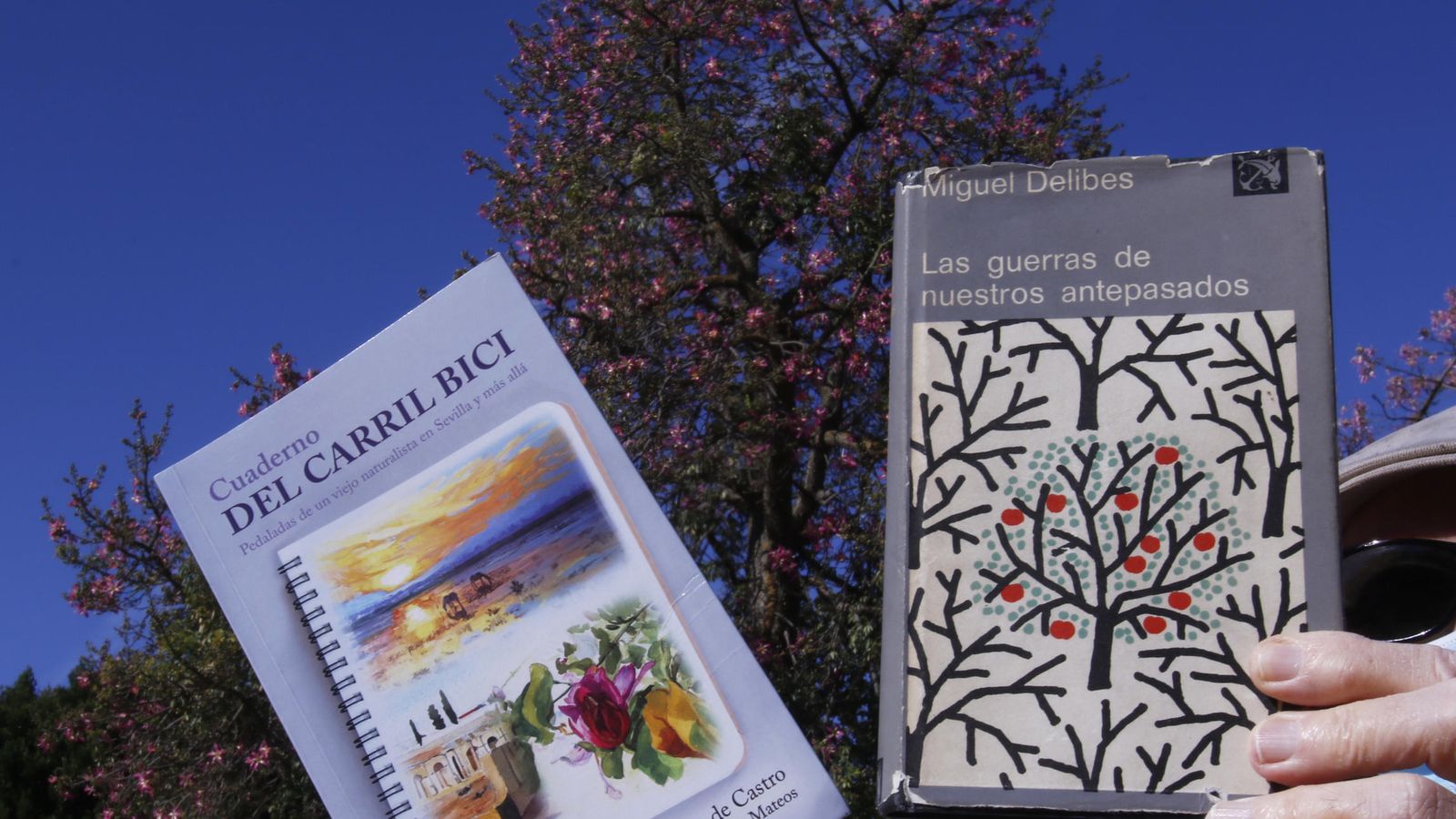 Los árboles de Delibes hijo y Delibes padre en sus respectivas obras.