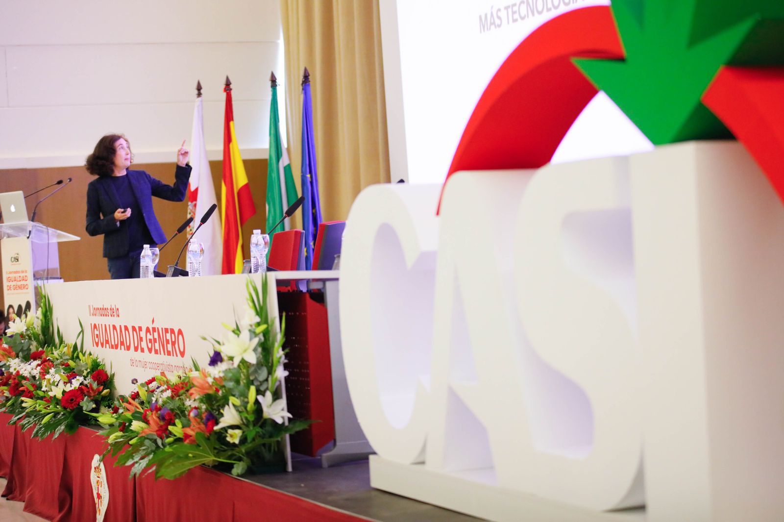 II jornadas de la igualdad CASI