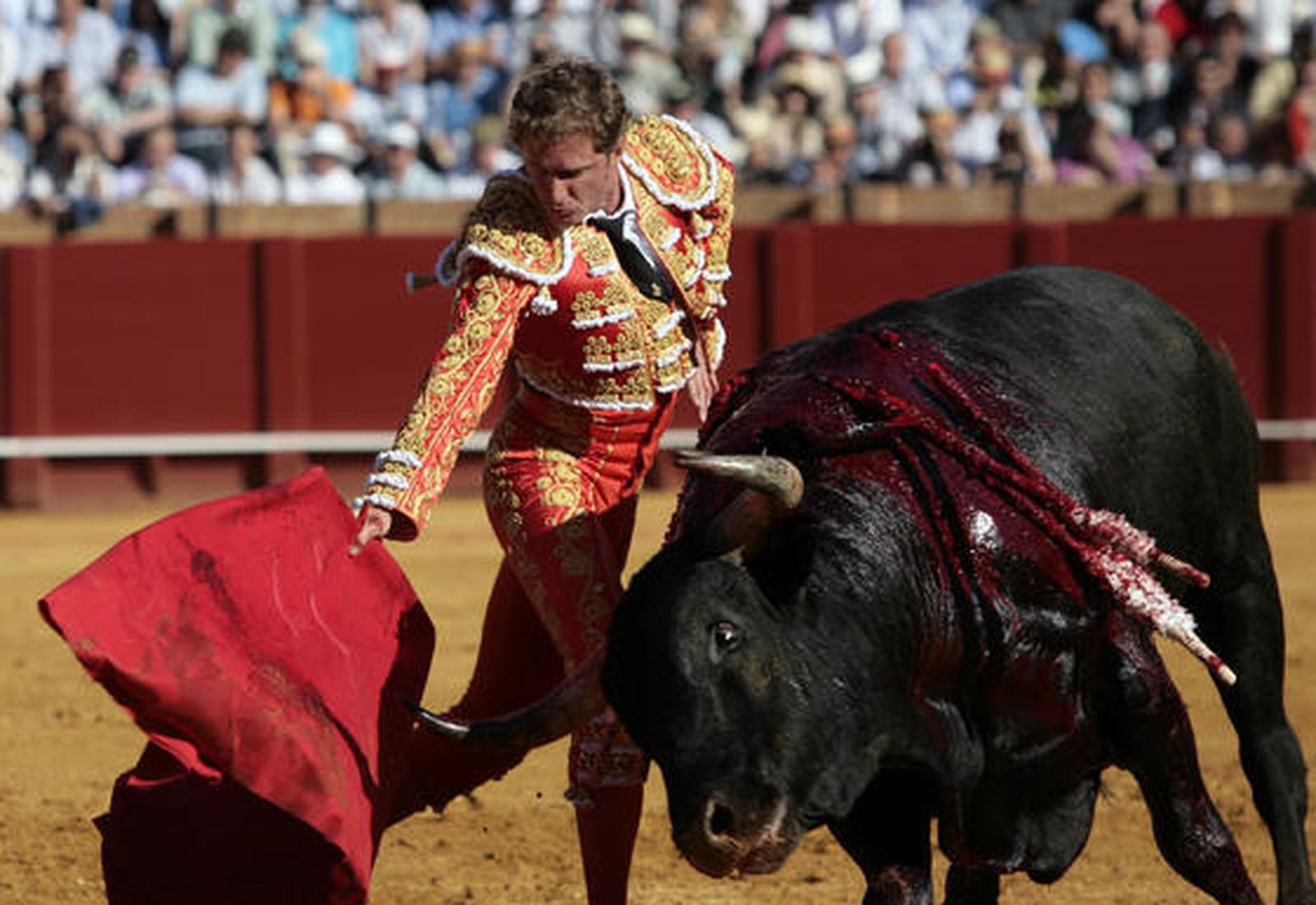 José Luis Moreno abre la última tarde de Feria en la Maestranza.

Foto: Juan Carlos Muñoz