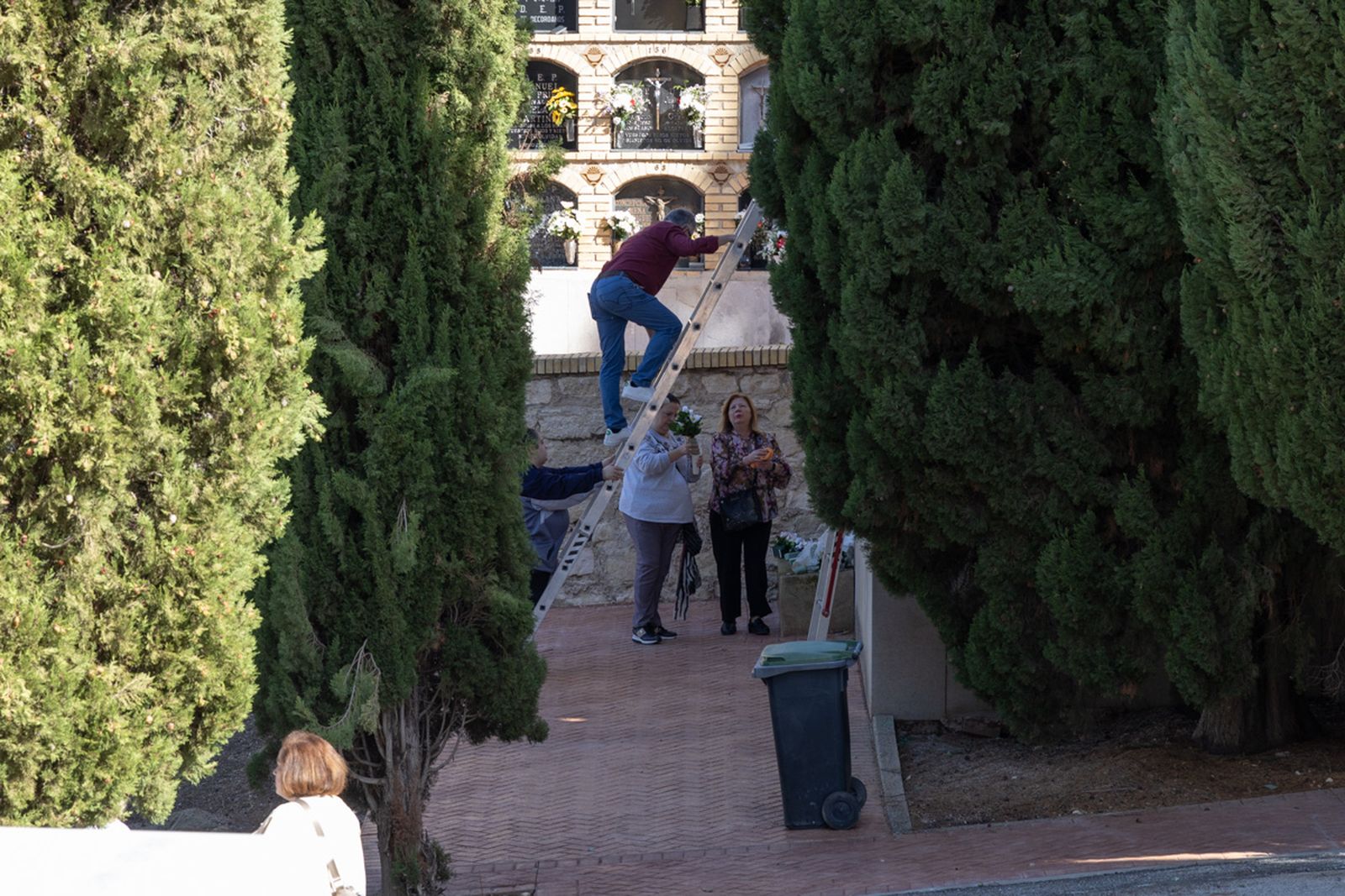 Día de Los Santos en el cementerio de San Fernando y San Eufrasio de Jaén, en imágenes
