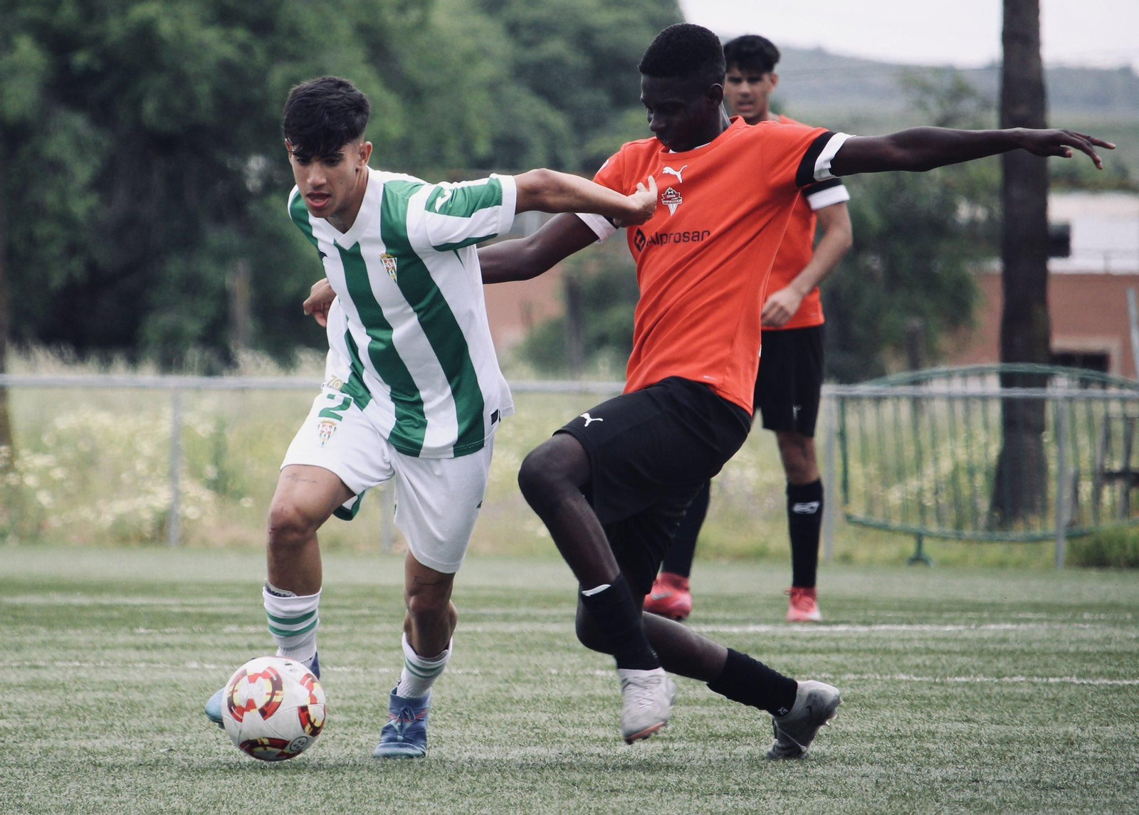 Dani Da Costa intenta arrebatar el balón a un futbolista blanquiverde durante una acción del choque en Córdoba.