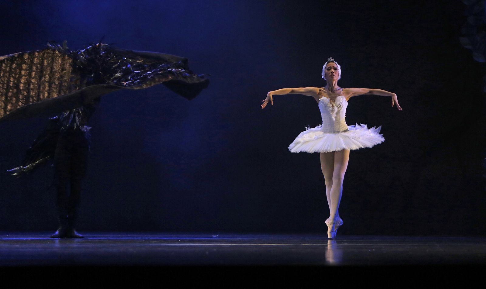 EL LAGO DE LOS CISNES