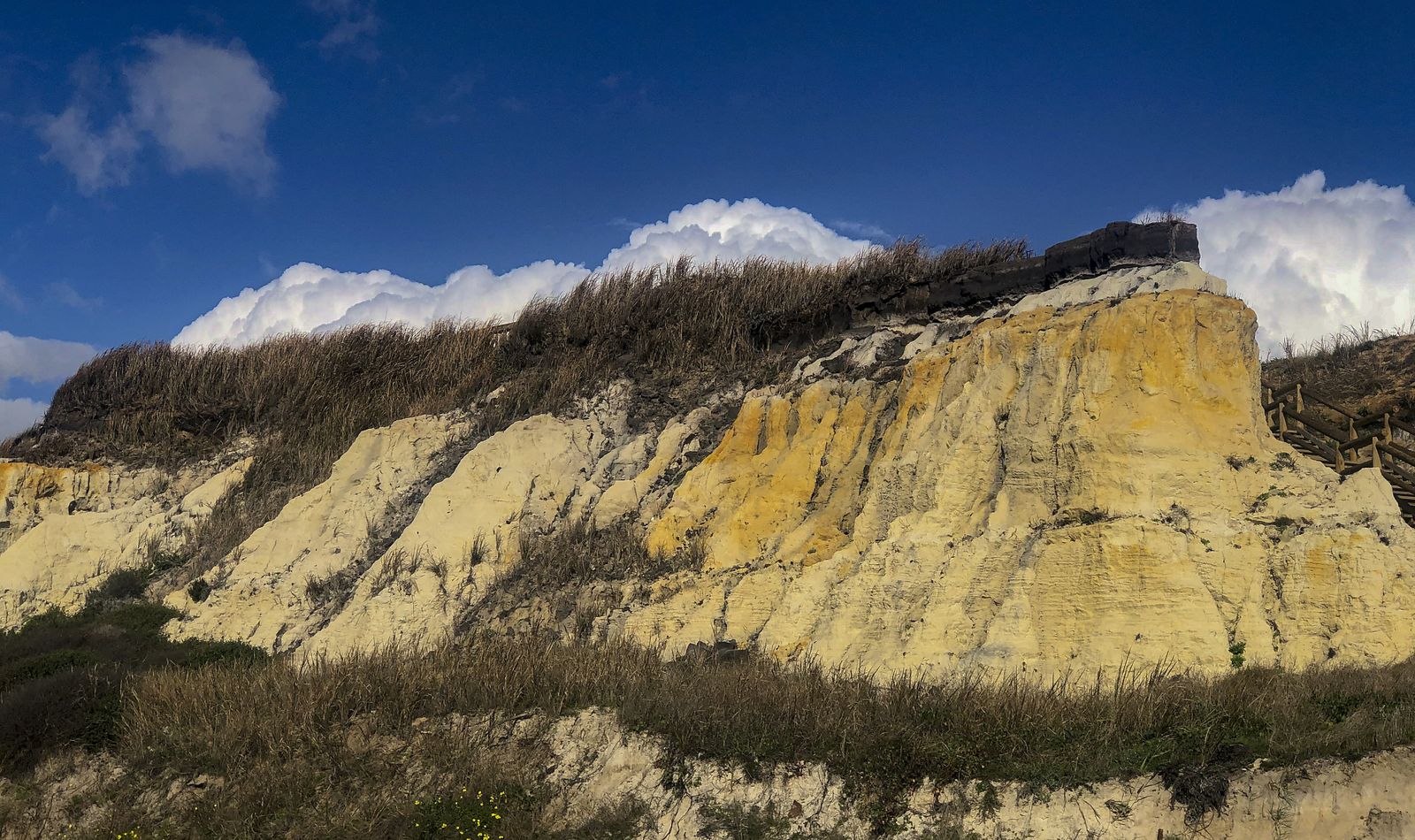 El resurgir de Doñana: tres años después del incendio