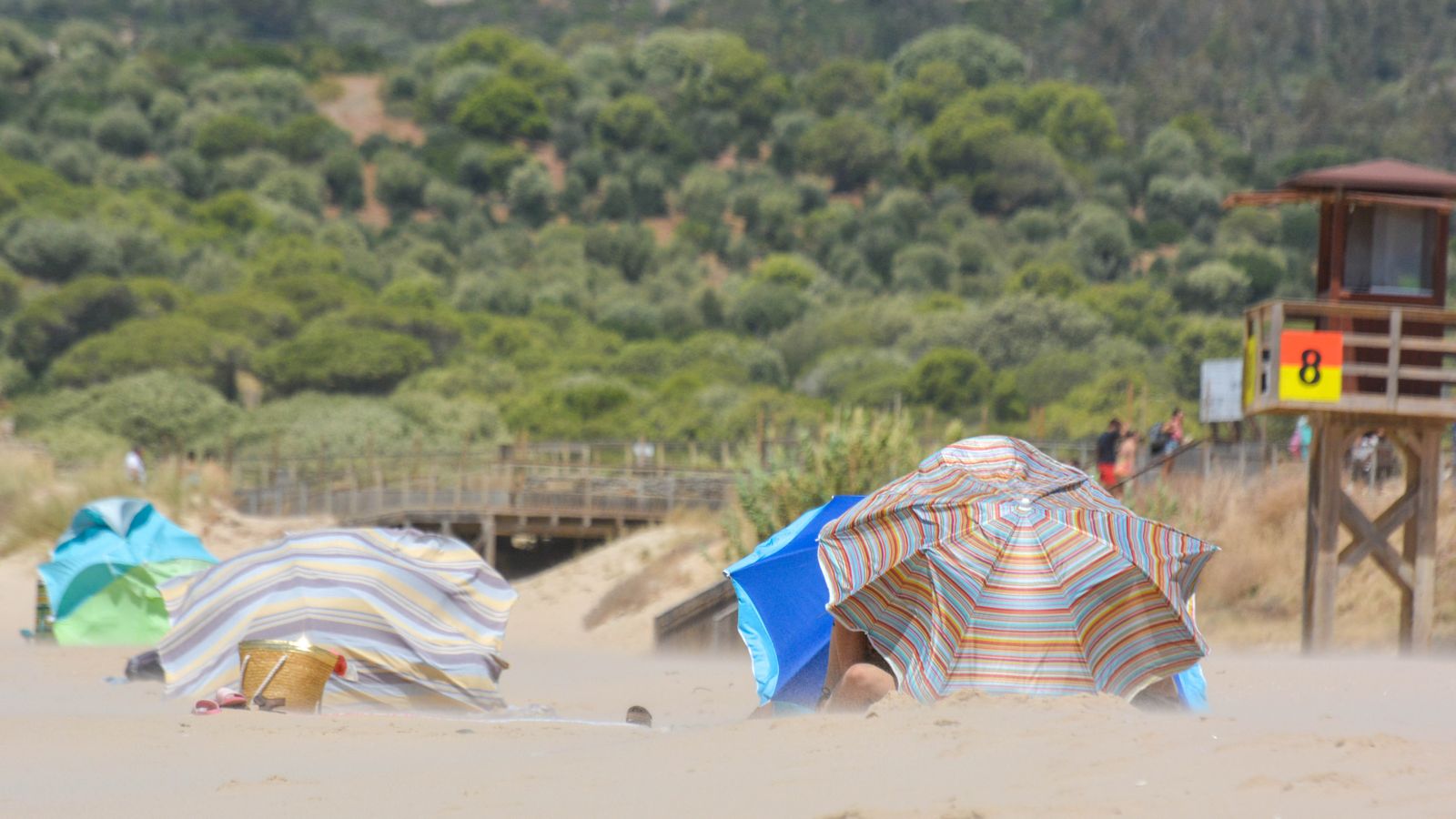 Día de sol y viento en la playa de Bolonia
