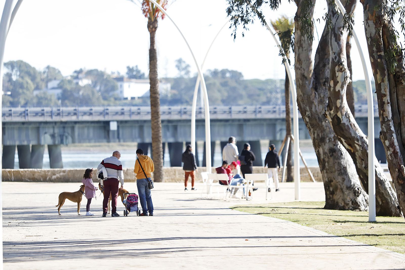 Las imágenes más destacadas del domingo 3 de diciembre en Huelva