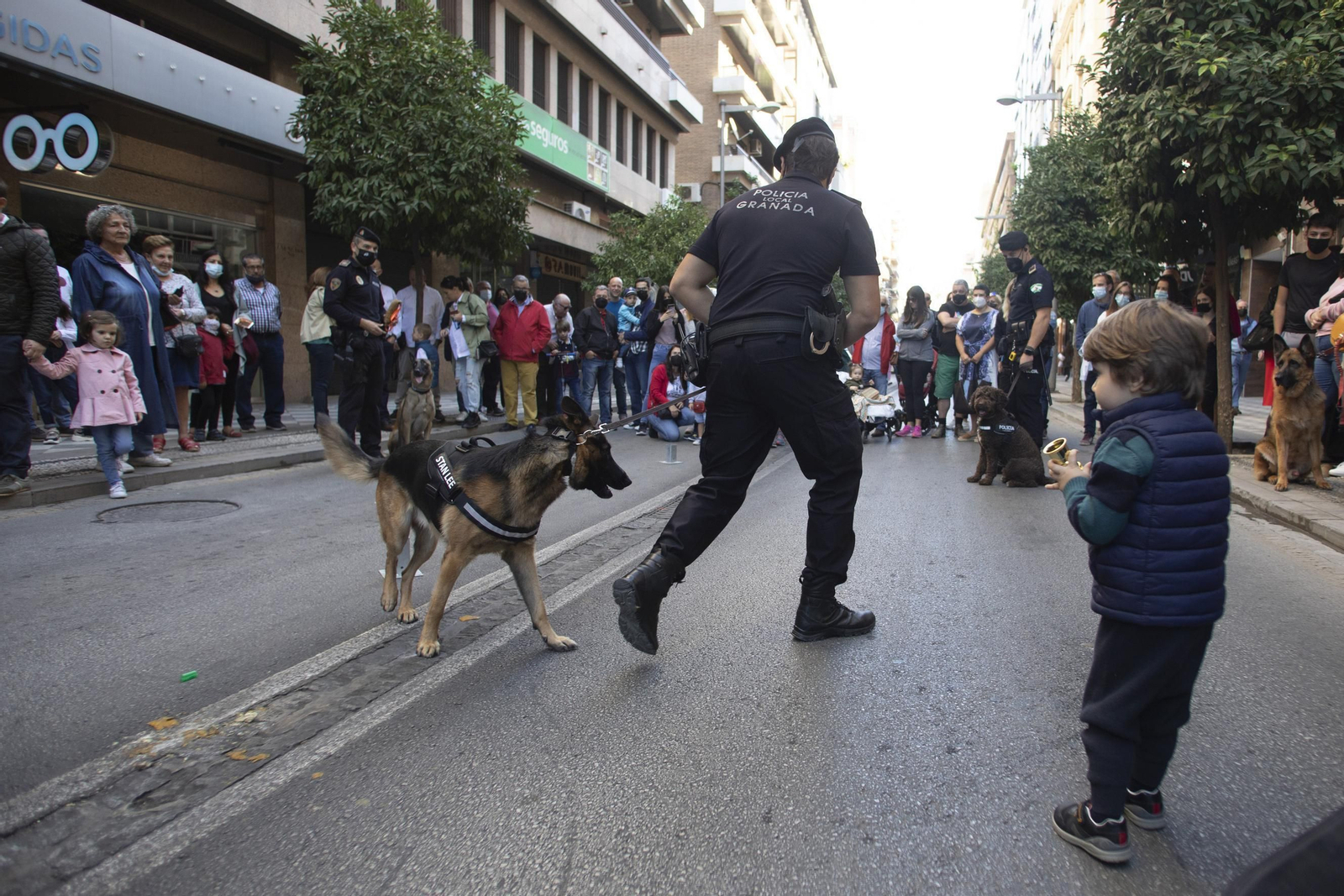 Fotos: La vuelta del Día sin Coche de Granada en imágenes
