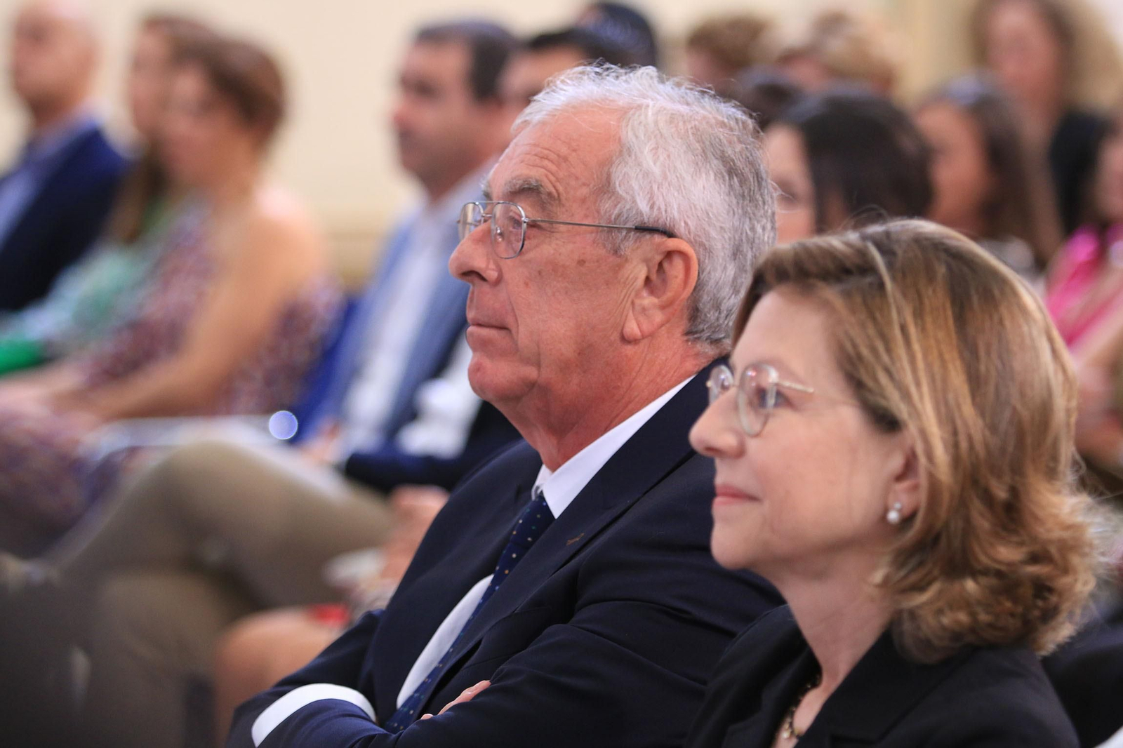 La diputación impone el Escudo de la Provincia a Pedro Caparrós