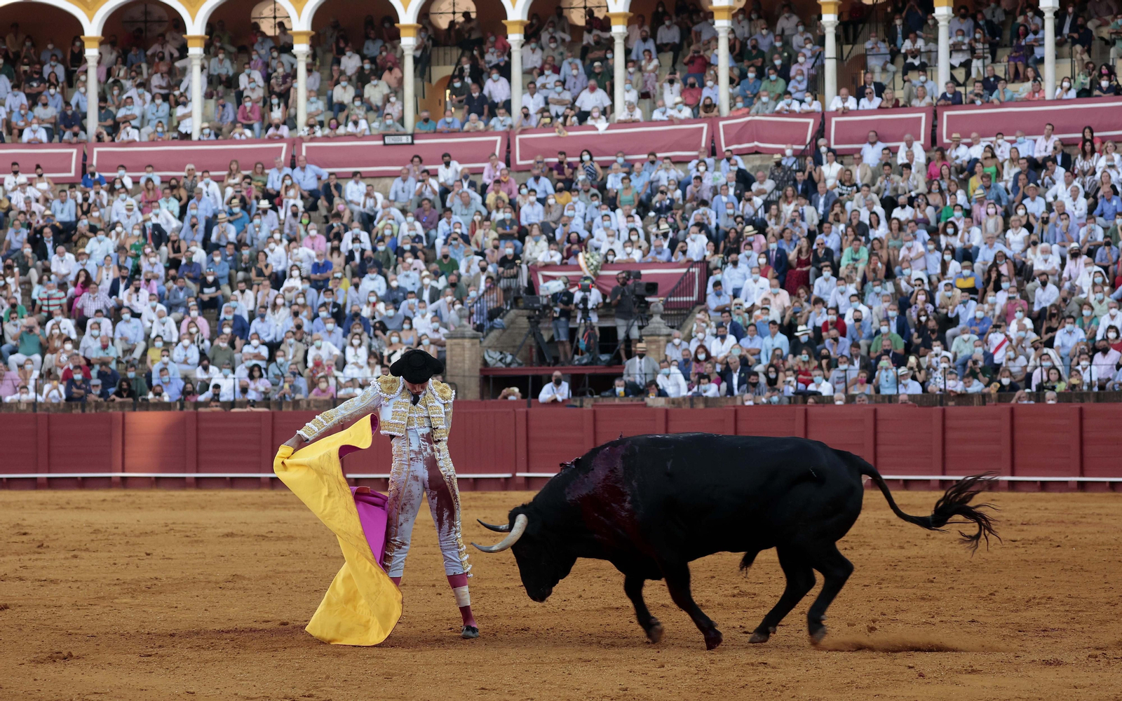 Las imágenes del primer festejo de San Miguel