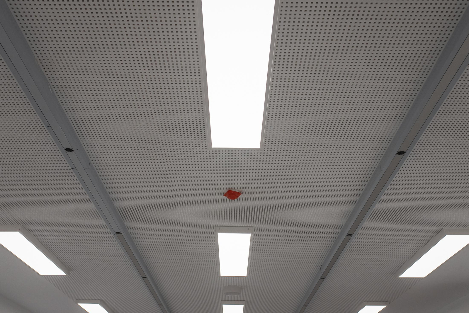 Una visita a las obras del IES La Rábida, en imágenes