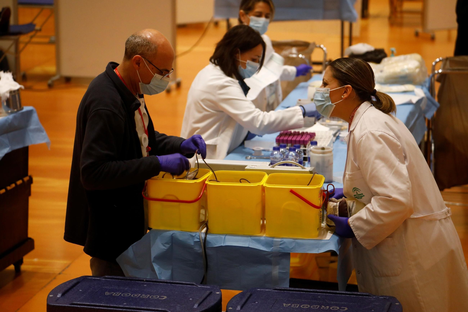 El maratón de la donación de sangre para salvar vidas por Navidad en Córdoba, en imágenes
