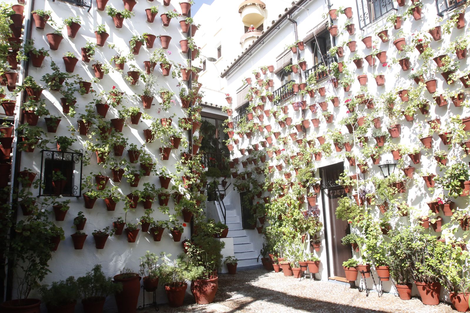 Las fotografías de los Patios de Córdoba en otoño