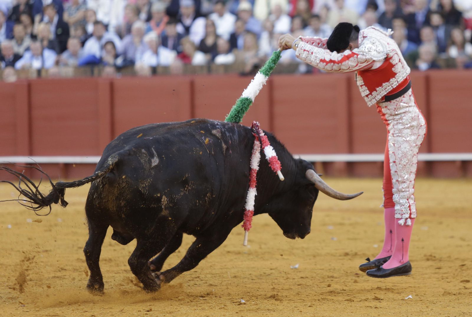 Cayetano Rivera Ordóñez.