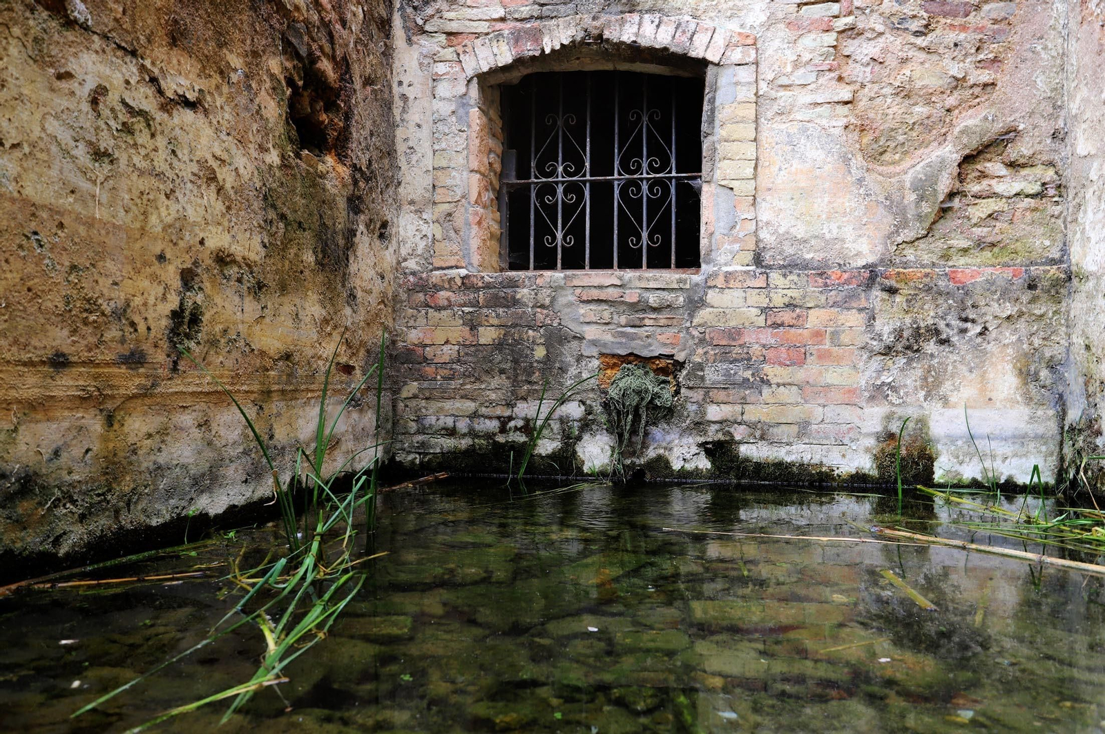 Imágenes del estado de abandono en el que se encuentra la Fuente Vieja y su entorno