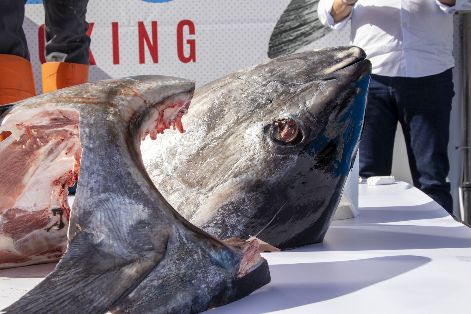 Muestra del Atún en Huelva