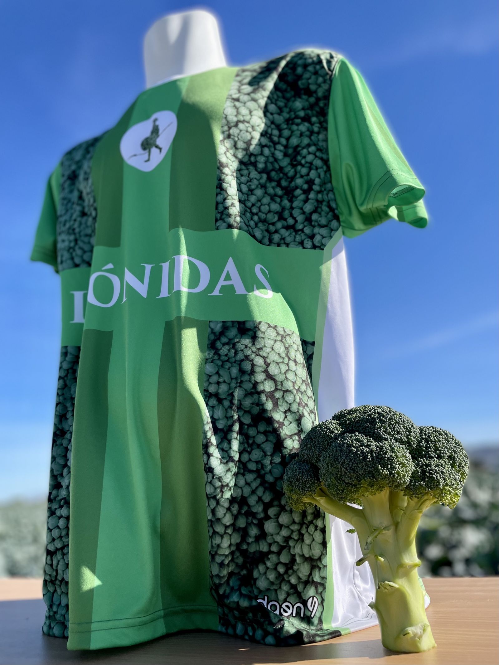 Presentación de Leónidas.