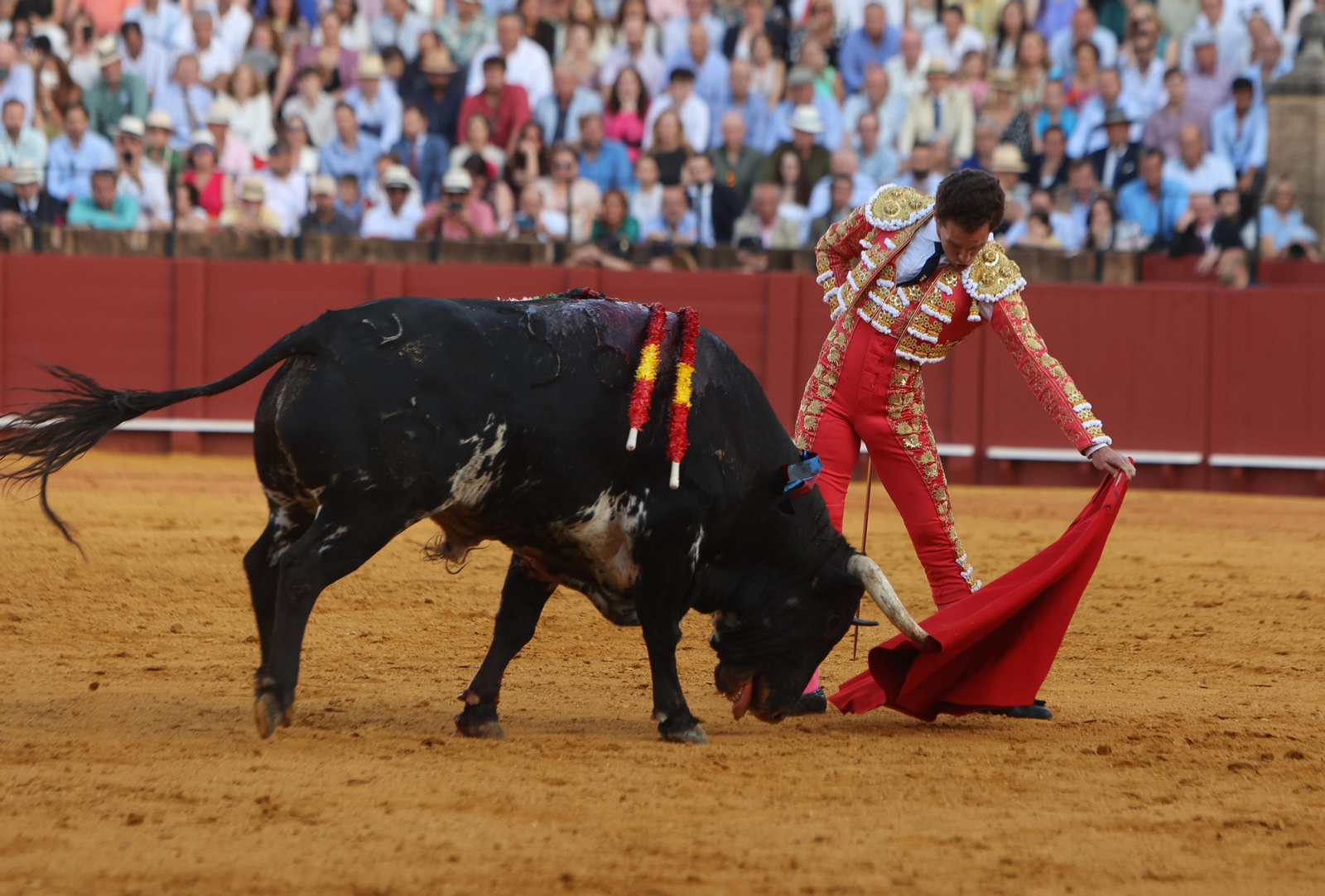 Toros en la Maestranza hoy sábado