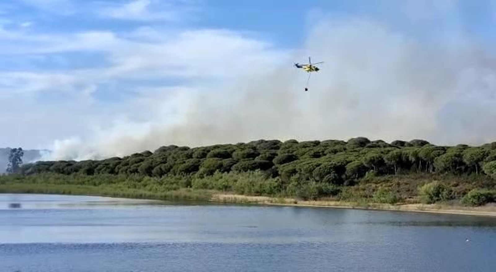 El Infoca combate un incendio forestal en la laguna de El Portil. El Infoca combate un incendio forestal en la laguna de El Portil.