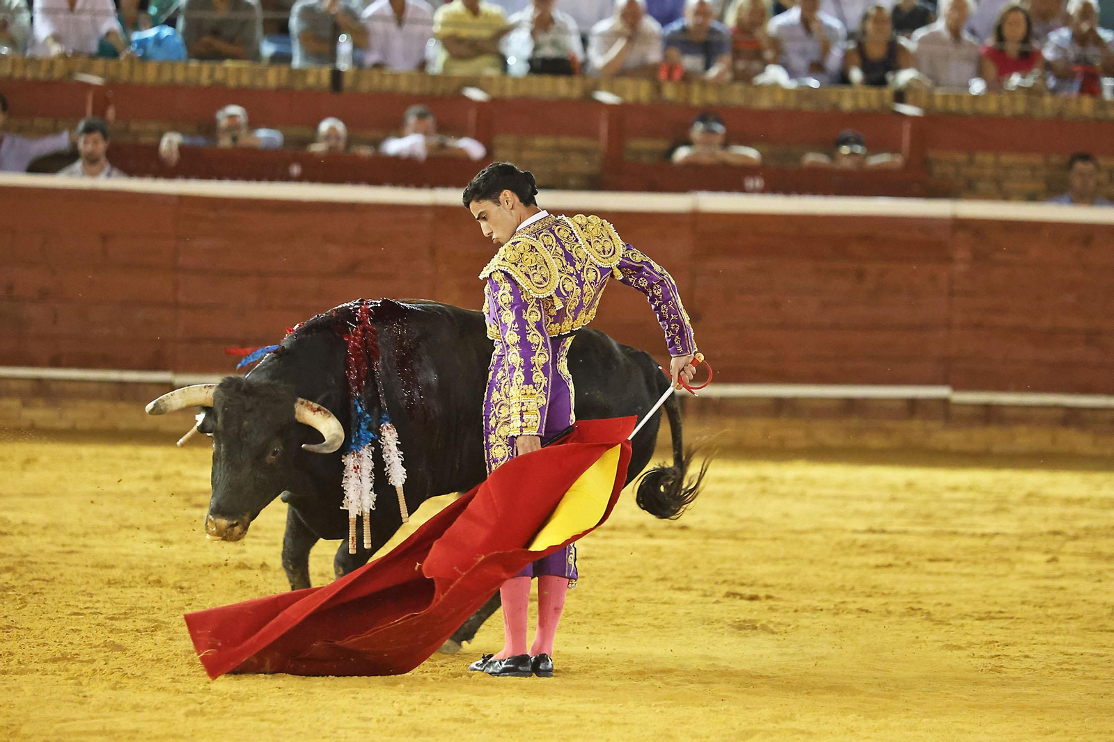 Toros La Merced 2024 Novillada con picadores(