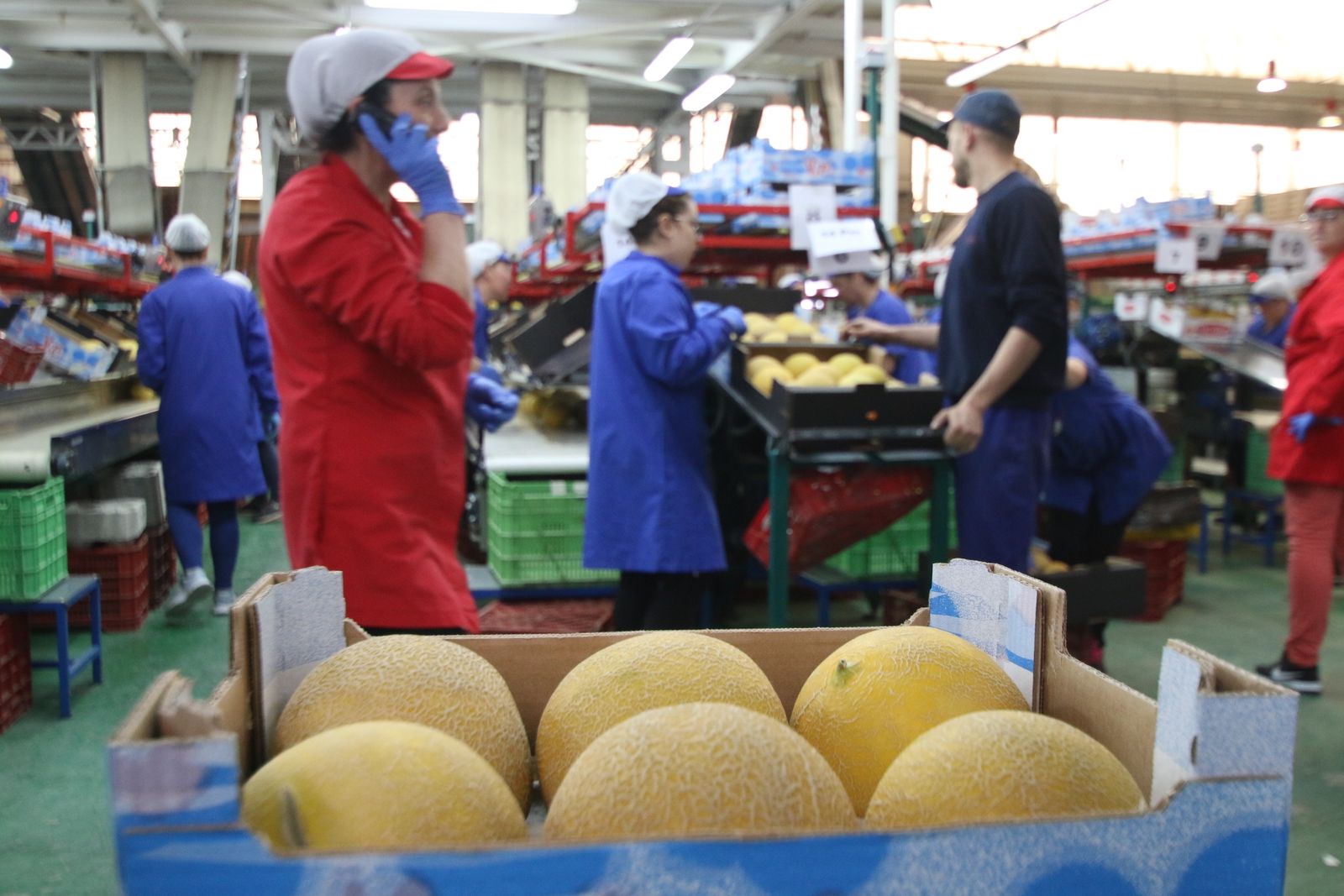 Las imágenes de la visita de Susana Díaz a Almería