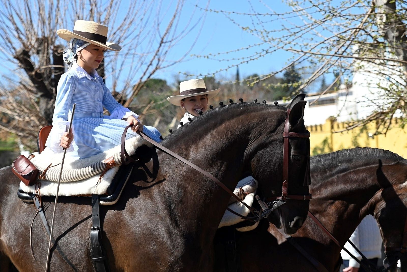 Las mejores fotografías la Marcha Hípica 'Córdoba a Caballo' por el 28F