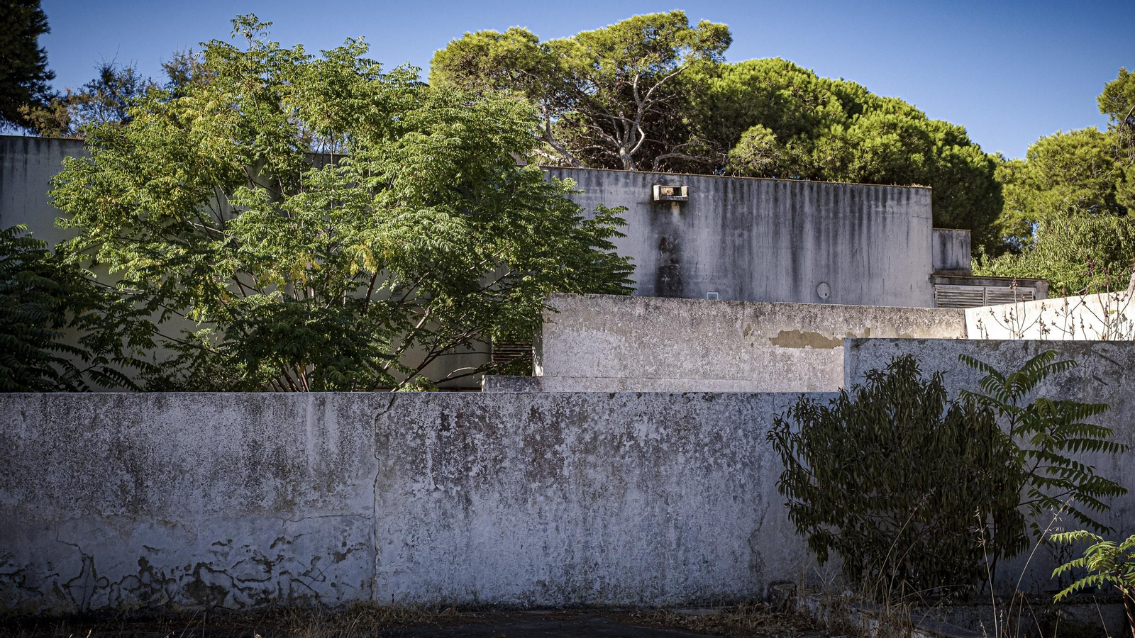 Las imágenes actuales del estado de abandono del antiguo campamento La Forestal en Rota