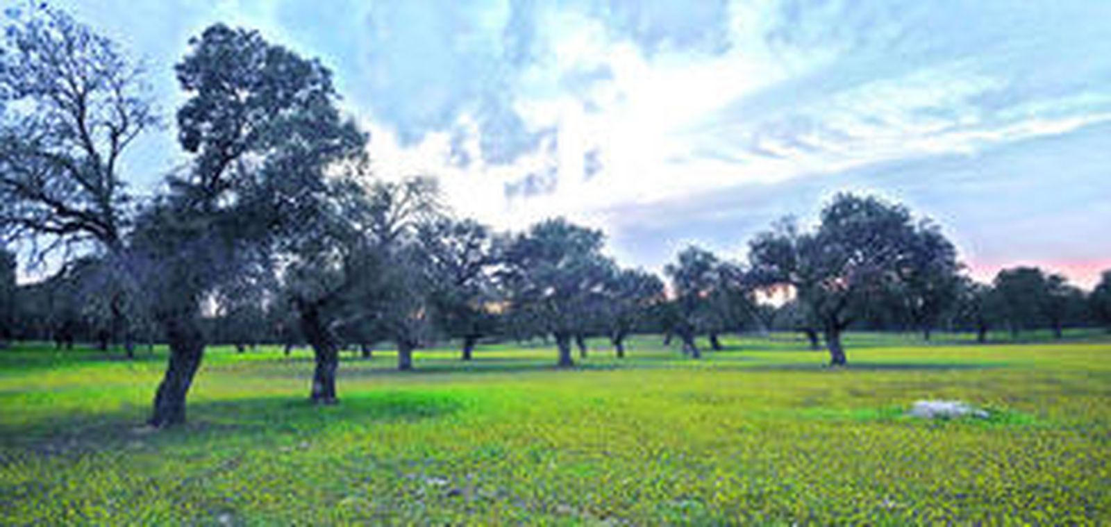 Las 446 plantas de un entorno muy singular