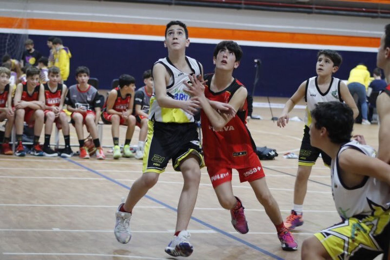 Las fotos del Torneo FYM Benalmádena