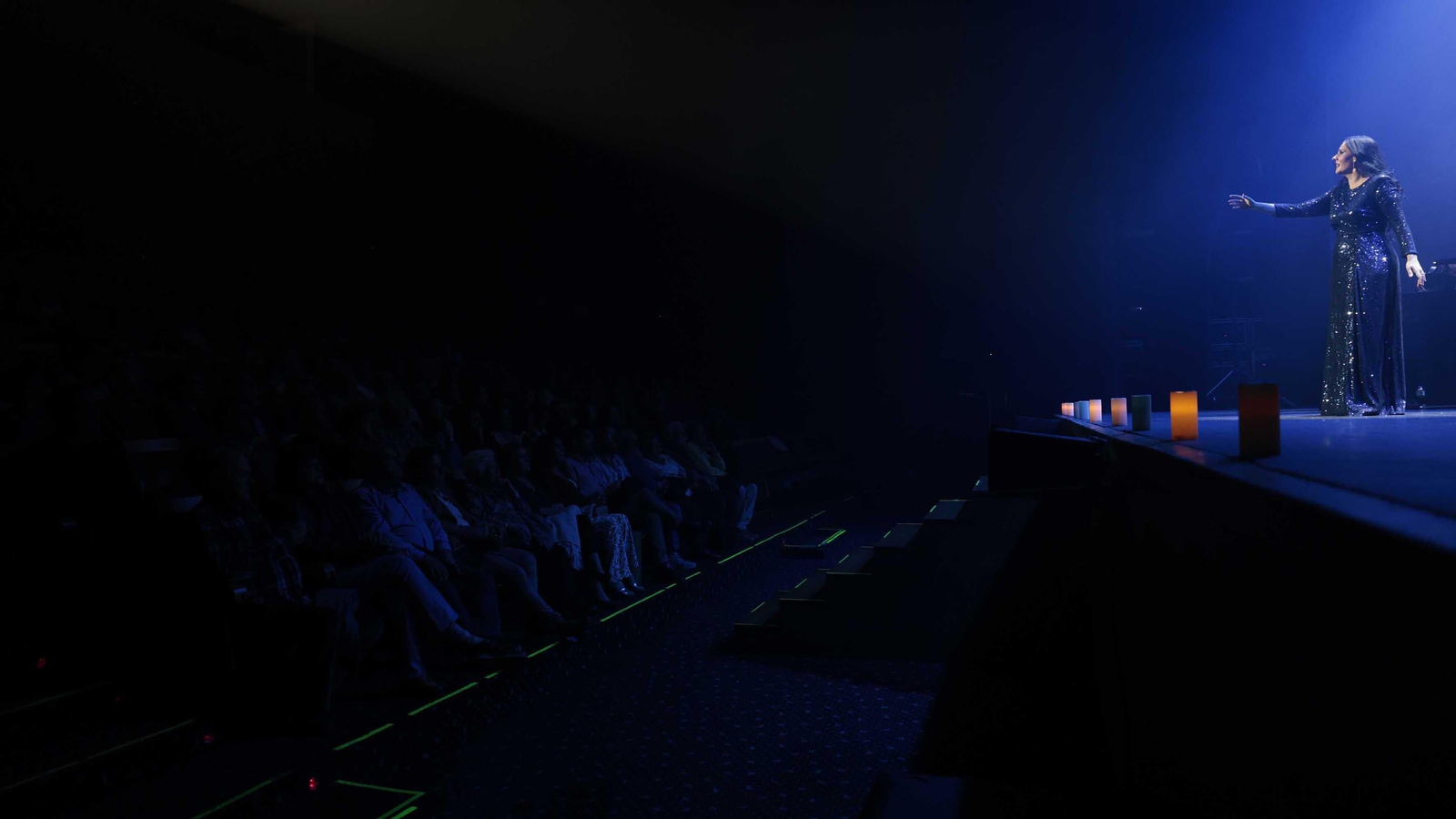 Las fotos del concierto de Diana Navarro