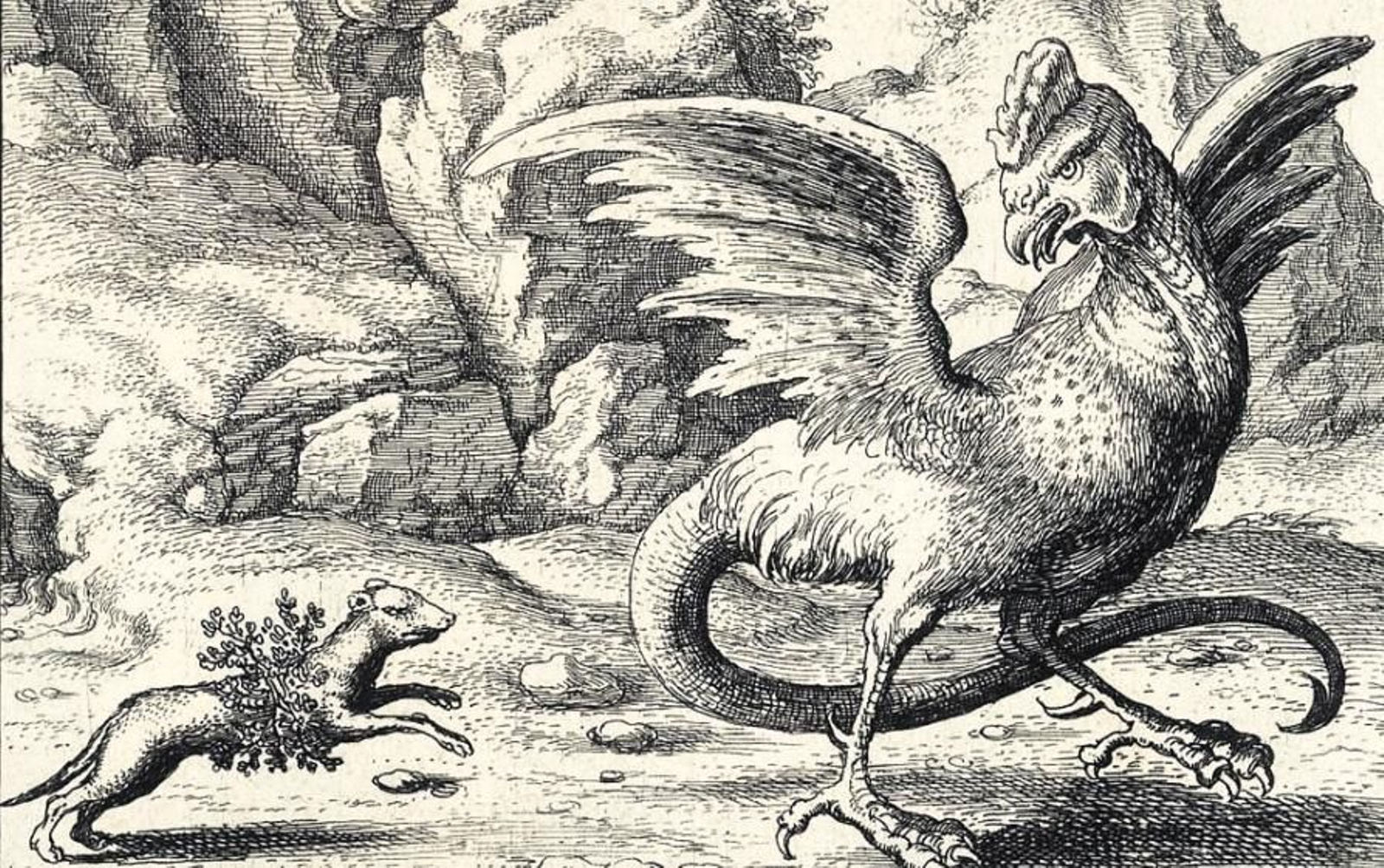 Grabado de un basilisco, imagen del siglo XVII.