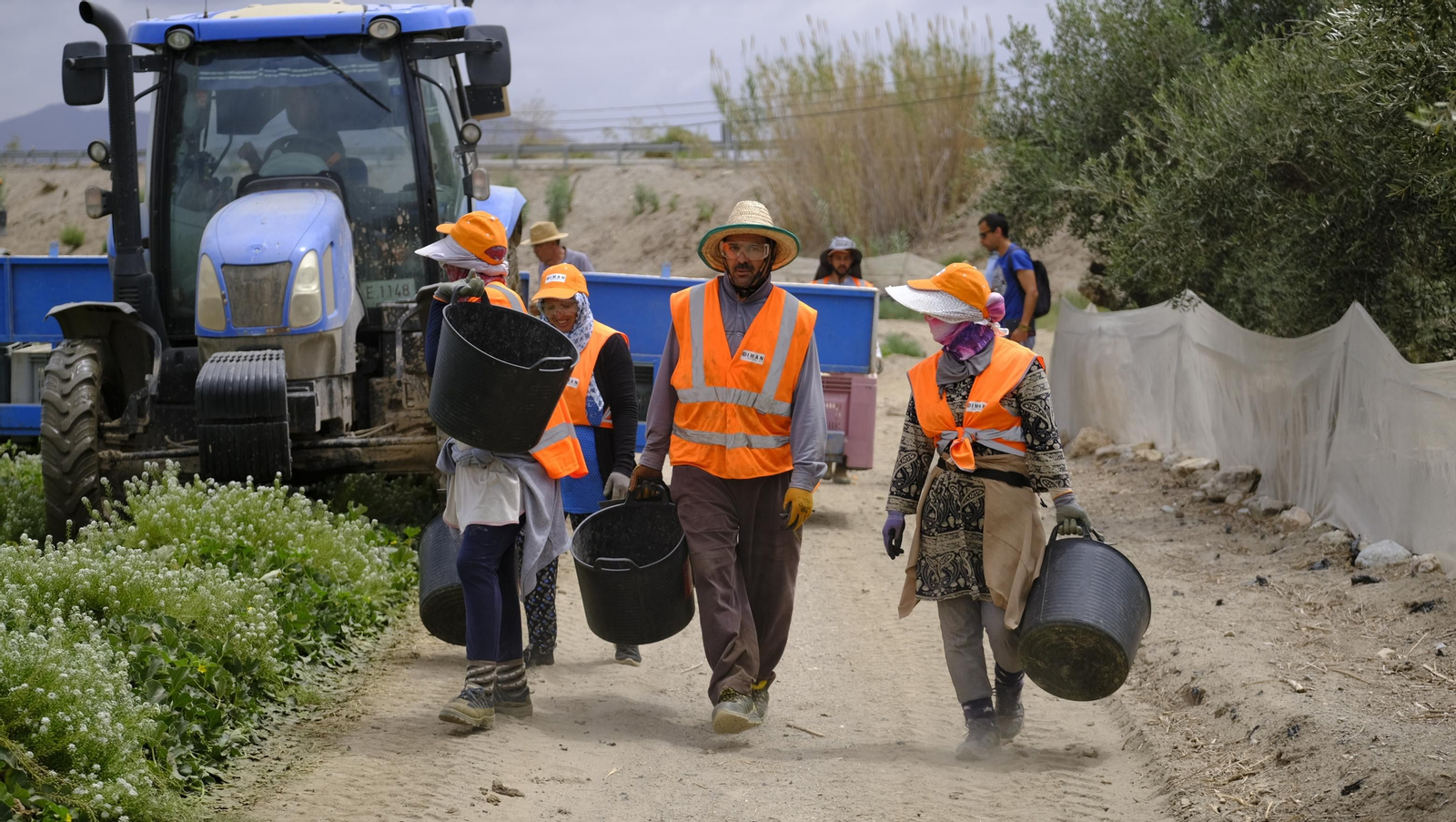 La sandía y el melón de Huércal Overa, manjares en imágenes