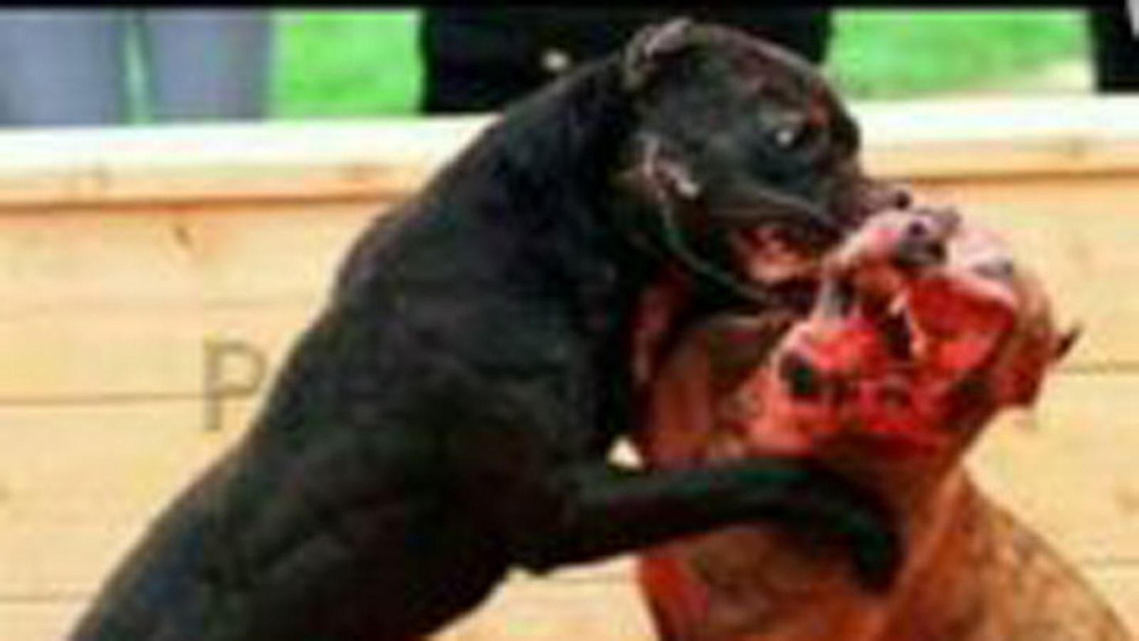 Una de las fotografías publicada en las redes sociales.