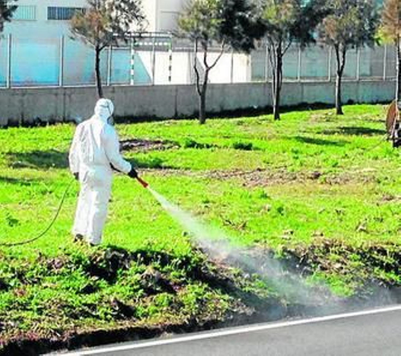 Imagen aportada por Agaden para apoyar su denuncia.