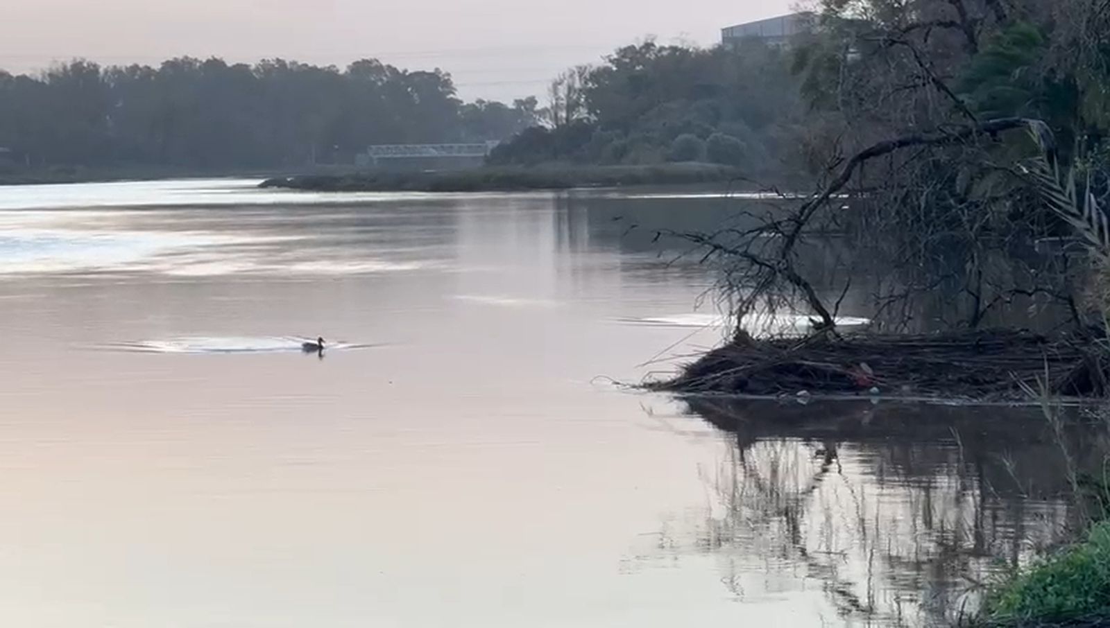 El río Palmones, este Día de Reyes.