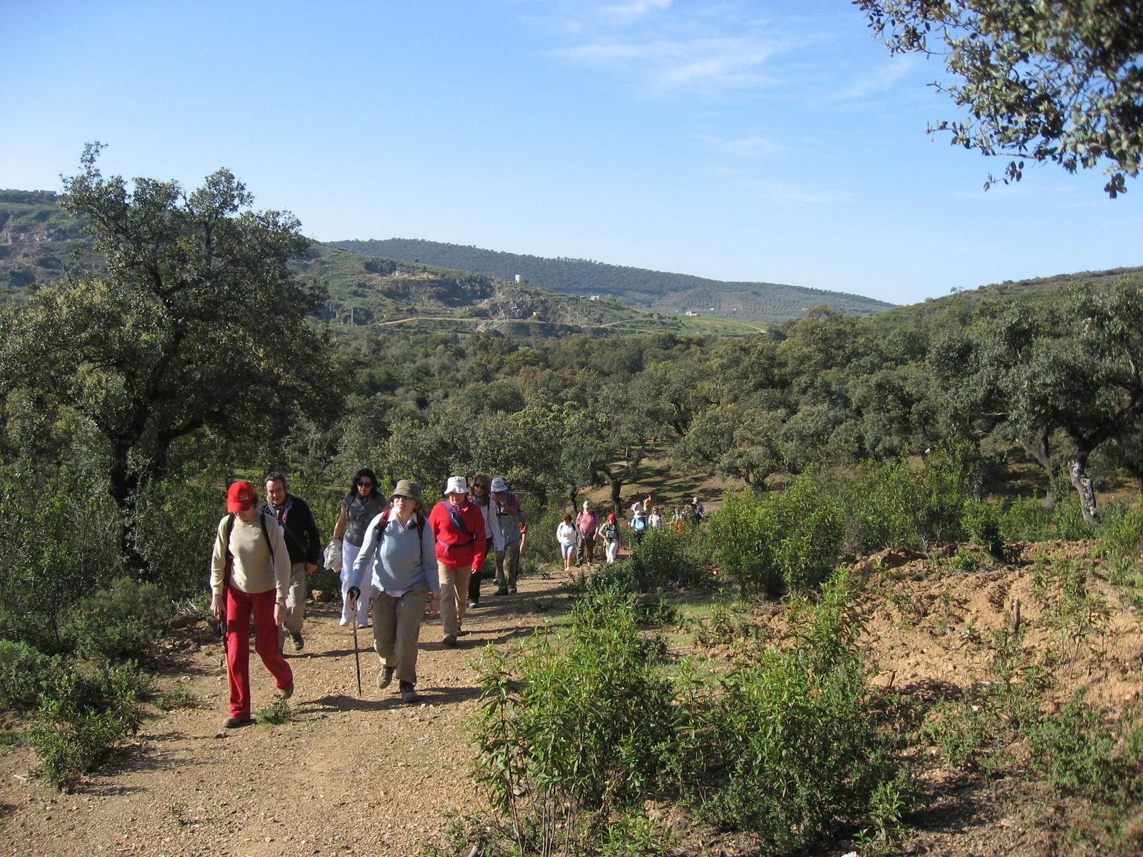 El Camino de la Plata: un impulso a esta vía histórica para llegar a Santiago en el Xacobeo 2021