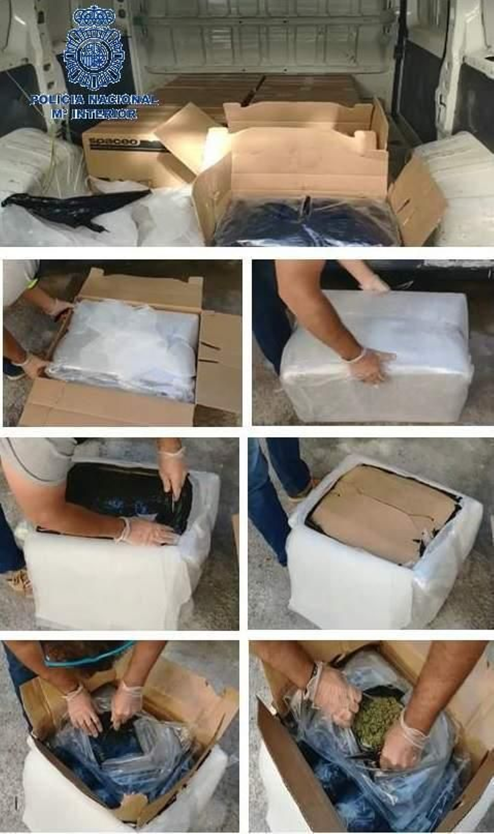 Marihuana oculta en amoniaco en la última operación