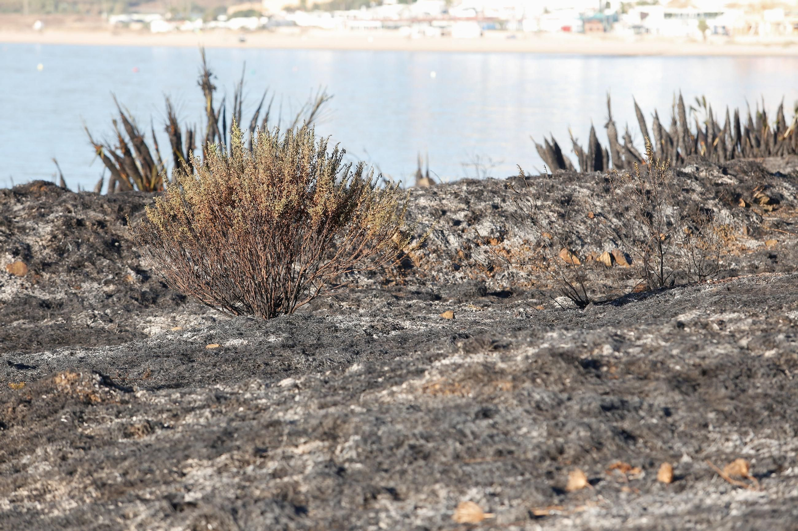 Daños en el Parque Centenario de Algeciras tras el incendio nocturno, en imágenes