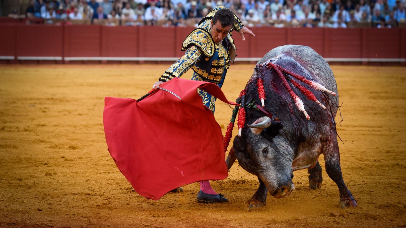 El Fandi estuvo a un nivel muy alto toda la tarde, como en este redondo a ‘Tejón’. El Fandi estuvo a un nivel muy alto toda la tarde, como en este redondo a ‘Tejón’.
