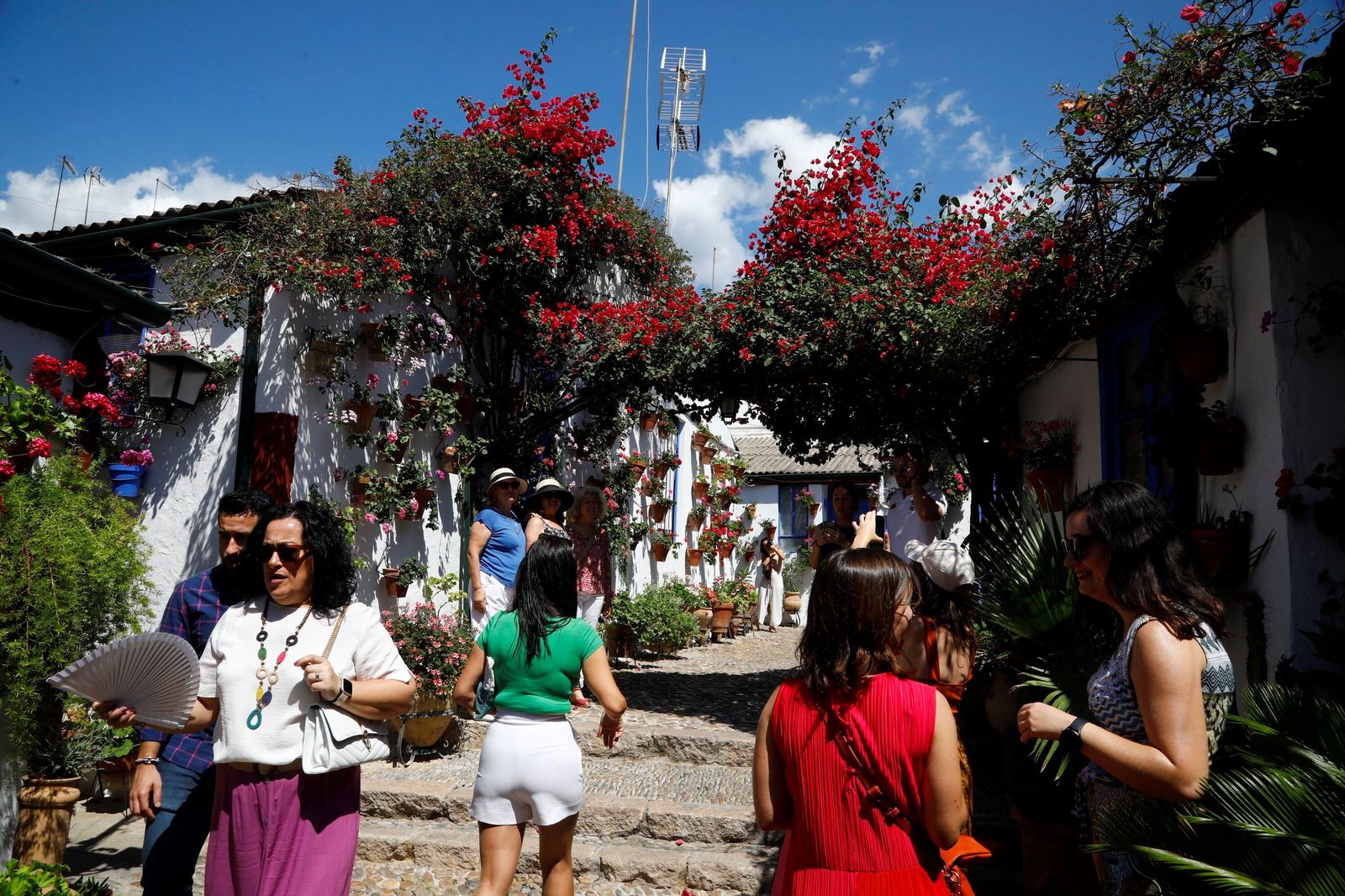 Las colas en el último sábado de Patios de Córdoba, en imágenes