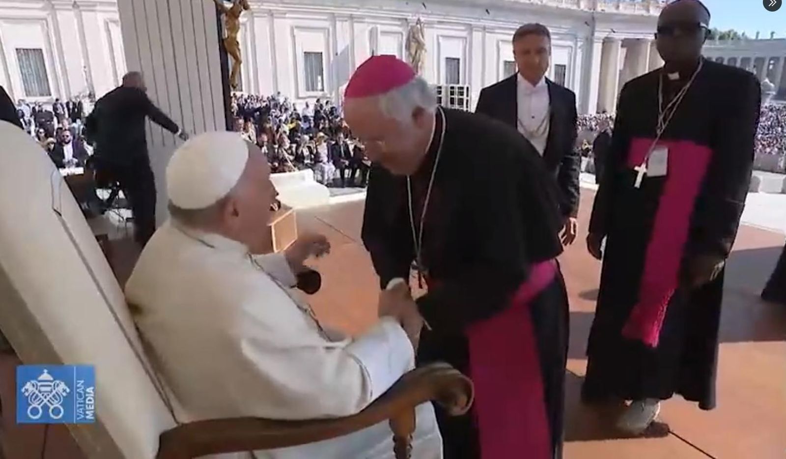 Saiz Meneses saluda al papa Francisco durante la audiencia