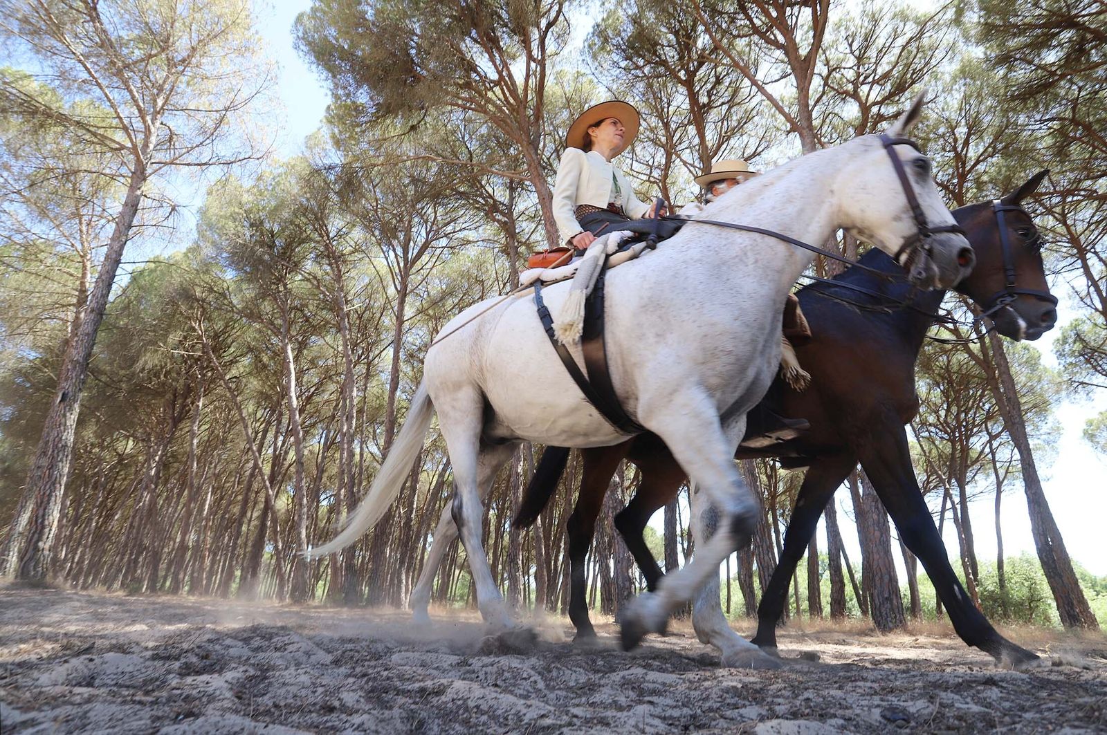 Todos los peregrinos de la Hermandad de Huelva, en imágenes