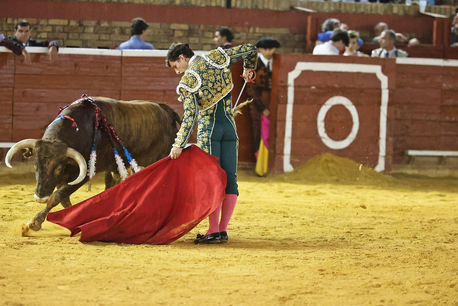 Toros La Merced 2024 Novillada con picadores(