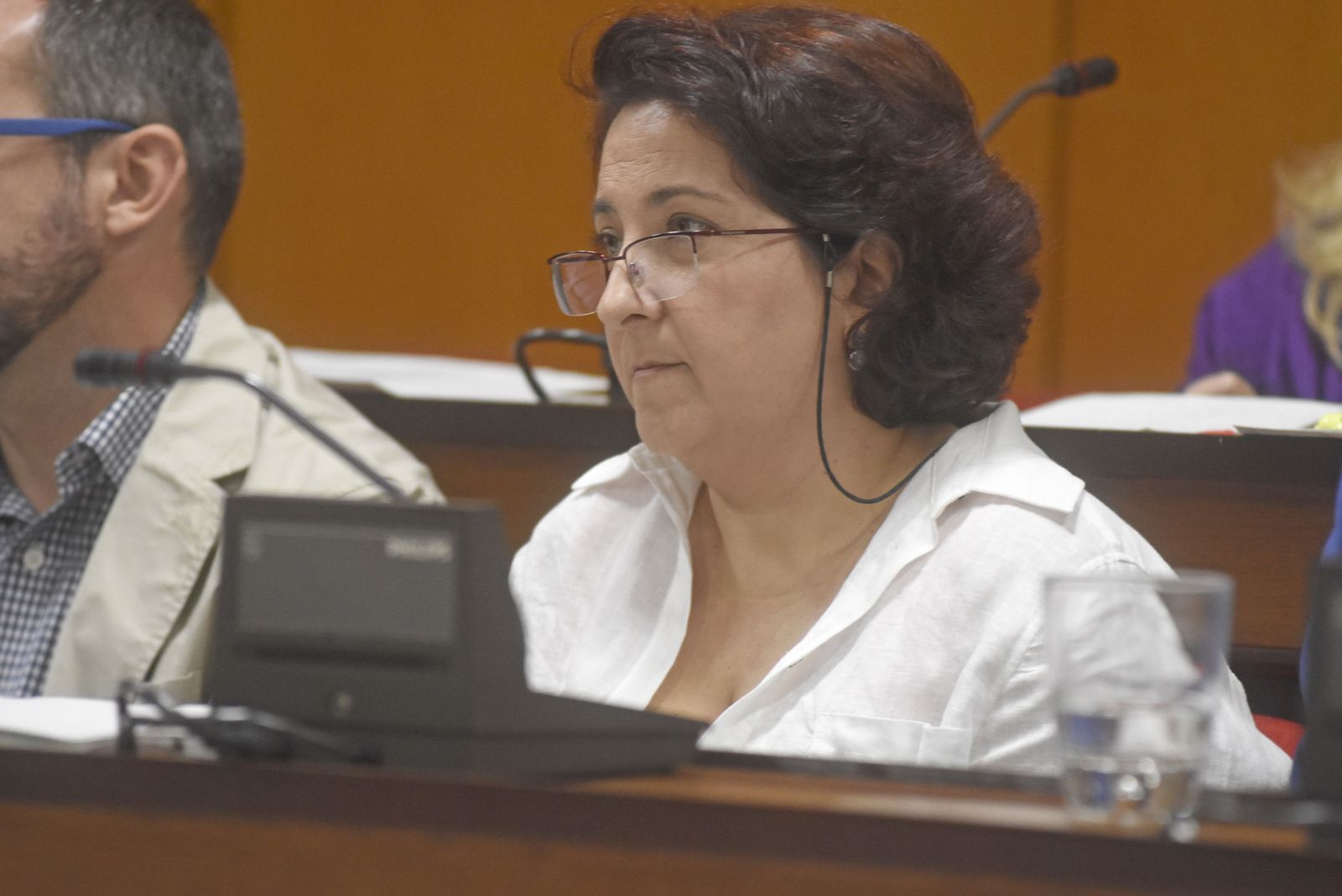 La edil del PSOE Alicia Moya durante un pleno.