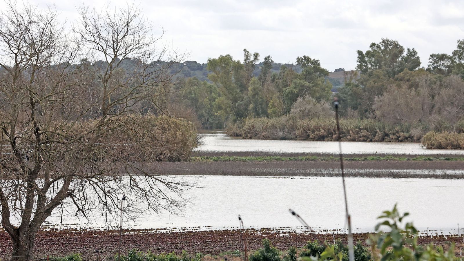 El Guadalete comienza a bajar su nivel poco a poco por la zona rural de Jerez