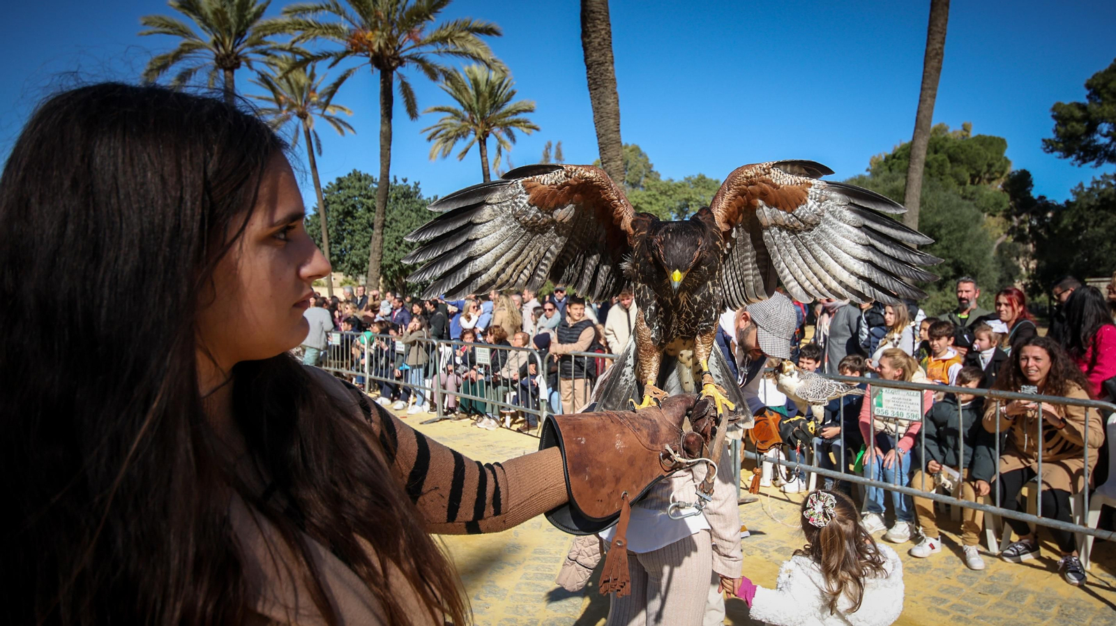 Búscate en San Antón de Jerez