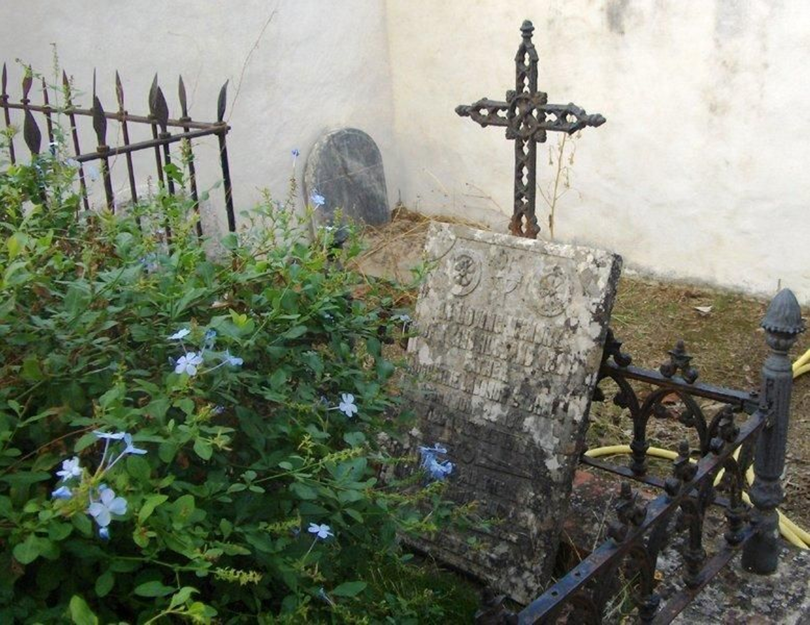 Recorrido por el Cementerio Evangelista Inglés de Linares, entre los más bonitos de España