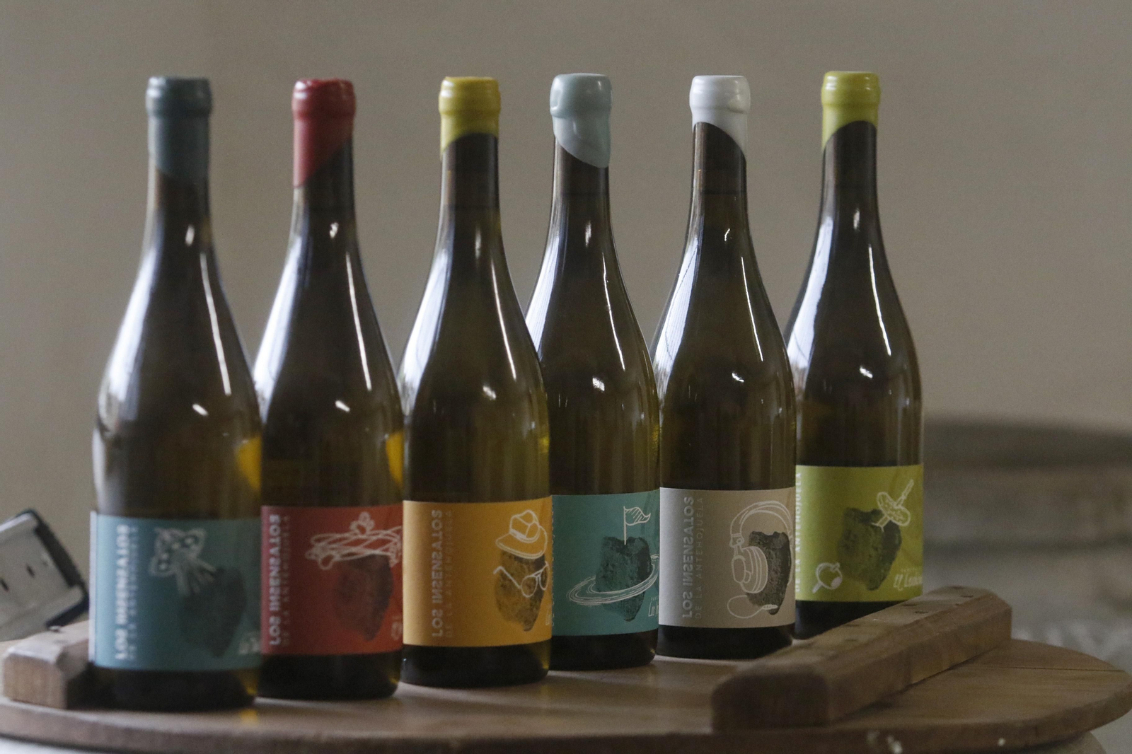 La vendimia en Montilla-Moriles, en fotografías