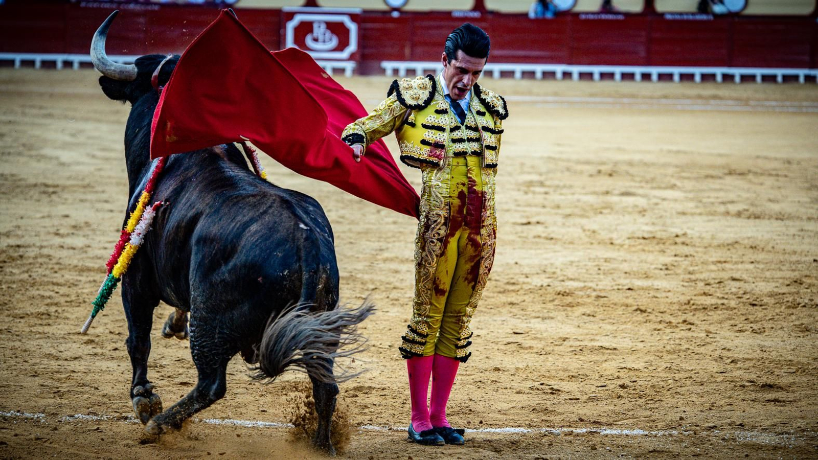 Las imágenes de la corrida de toros en El Puerto: Morante, Talavante y Juan Ortega